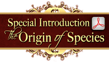 Special Introduction